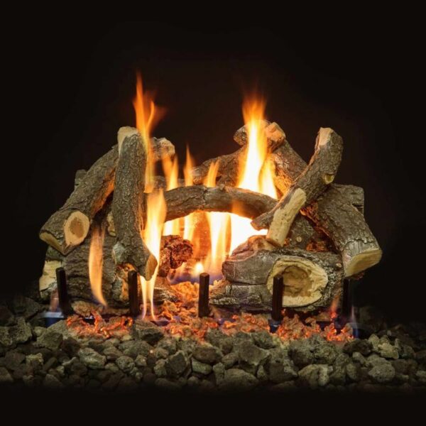 Arizona Weathered Oak Charred Vented Gas Log Set (Log, Burner, Assembled Burner)