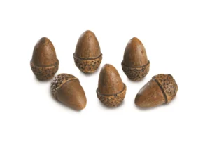Real Fyre - 6 Pack of Acorns
