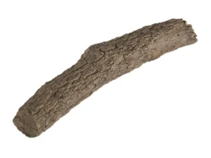 17-Inch Oak Branch