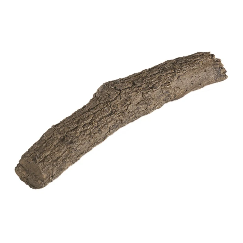 17-Inch Oak Branch
